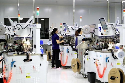 瀘州納溪 搶抓新質生產力機遇 為高質量發(fā)展蓄勢賦能